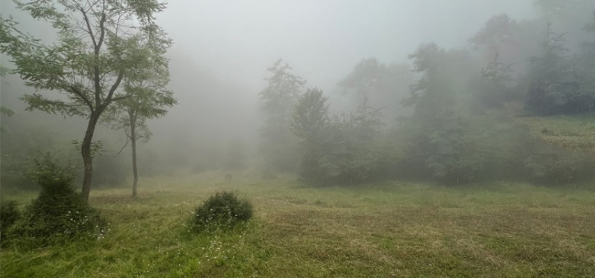 پیمایش جنگل کمرپشت و قله عباسعلی