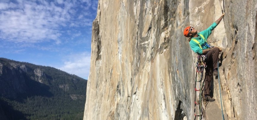 کارگاه تخصصی دیواره نوردی