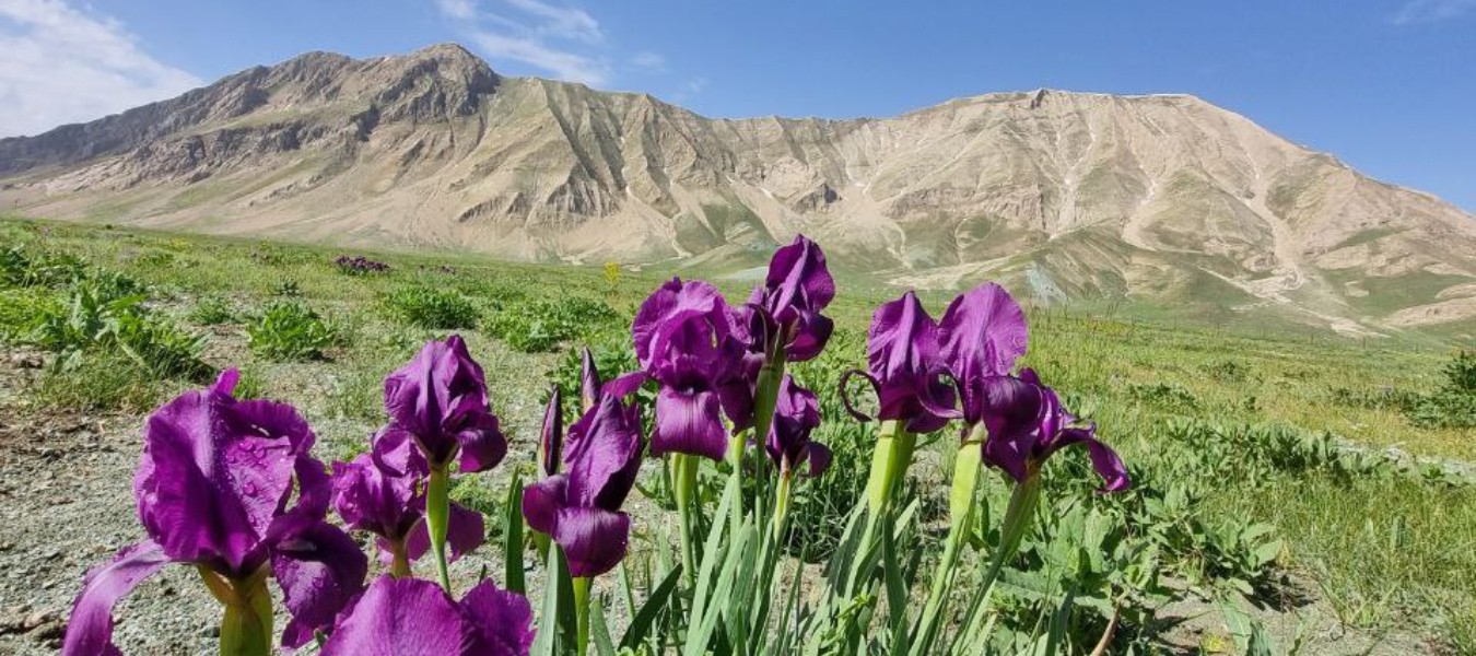 گزارش پیمایش تهران به شمال (سی سنگان)