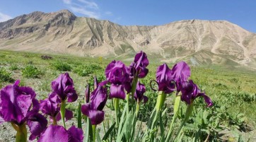 گزارش پیمایش تهران به شمال (سی سنگان)